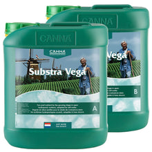 Load image into Gallery viewer, Canna Substra VEGA A&amp;B Soft water - 2L
