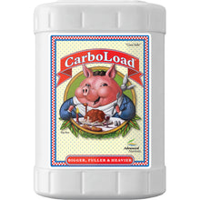 Load image into Gallery viewer, Advanced Nutrients CarboLoad Liquid
