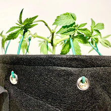 Load image into Gallery viewer, BudTrainer BudPot Fabric Pot - 7 Gallon
