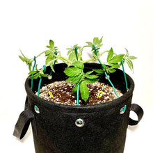 Load image into Gallery viewer, BudTrainer BudPot Fabric Pot - 15 Gallon
