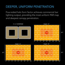 Load image into Gallery viewer, AC Infinity IONGRID T24, 260W LED Grow Light
