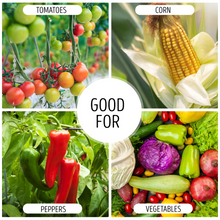Load image into Gallery viewer, Leafy Green Grow Vegetative Stage Plant Nutrients
