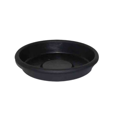 Mondi Super Saucer - 6
