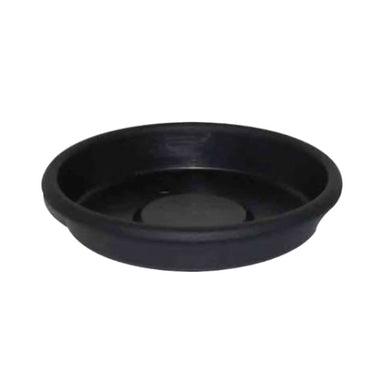 Mondi Super Saucer - 8