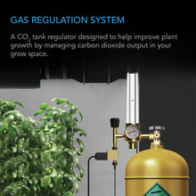 Load image into Gallery viewer, AC Infinity CO2 regulator

