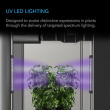 Load image into Gallery viewer, AC Infinity Ionbeam U2 UV grow light (2 pack) - 11&quot;

