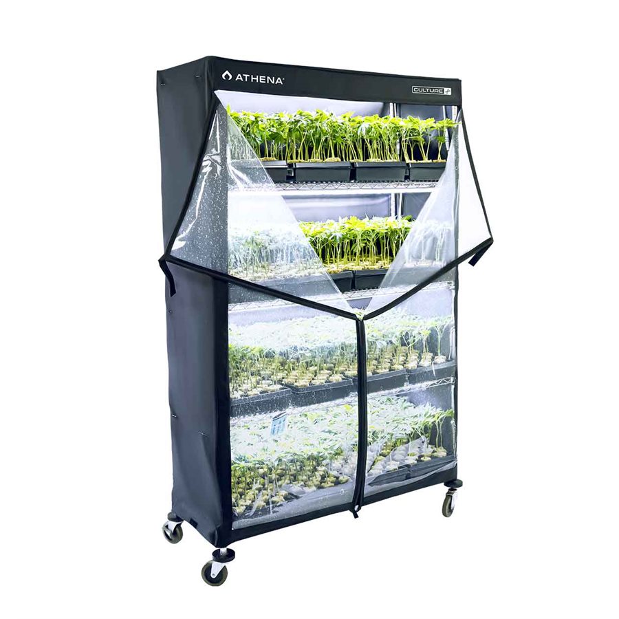 Athena VP Dome 48'' x 72'' x 18'' (rack not included)
