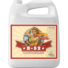 Load image into Gallery viewer, Advanced Nutrients B-52
