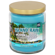 Load image into Gallery viewer, Smoke Odor 13oz Candle
