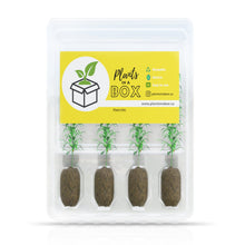 Load image into Gallery viewer, 4-Plants Multi-Pack Shipping Box for Plants
