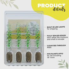 Load image into Gallery viewer, 4-Plants Multi-Pack Shipping Box for Plants
