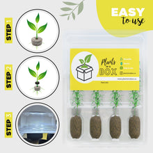 Load image into Gallery viewer, 4-Plants Multi-Pack Shipping Box for Plants
