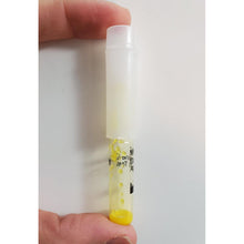 Load image into Gallery viewer, TestKitPlus Cocaine Cuts Test Kit 10/pack Ten Tests Pack
