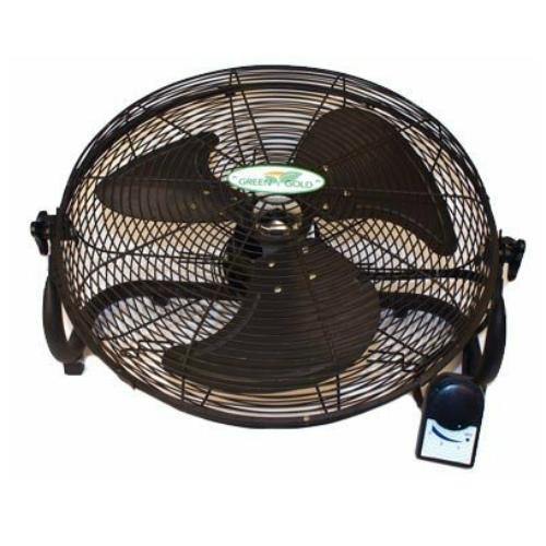 Green Gold Floor Fan 20