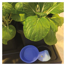 Load image into Gallery viewer, Auto8 15ltr Pots  (special order)
