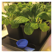 Load image into Gallery viewer, Auto8 15ltr Pots  (special order)
