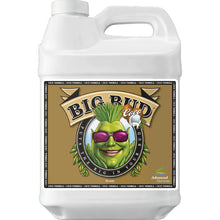 Load image into Gallery viewer, Advanced Nutrients Big Bud Coco Liquid
