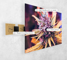 Load image into Gallery viewer, Purple Candy
