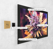 Load image into Gallery viewer, Purple Candy
