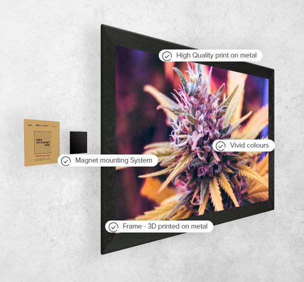 Purple Candy