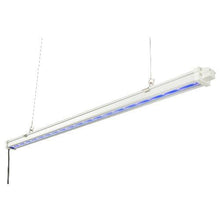 Load image into Gallery viewer, Gavita Pro UV LED Rail 120-240V - GrowDudes
