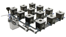 Load image into Gallery viewer, HydraMax 12 bucket, 4 Row RDWC System
