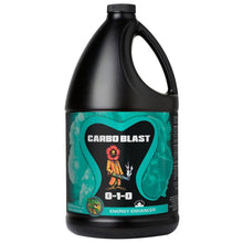Load image into Gallery viewer, Future Harvest Liquid Carbo Blast
