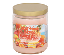 Load image into Gallery viewer, Smoke Odor 13oz Candle

