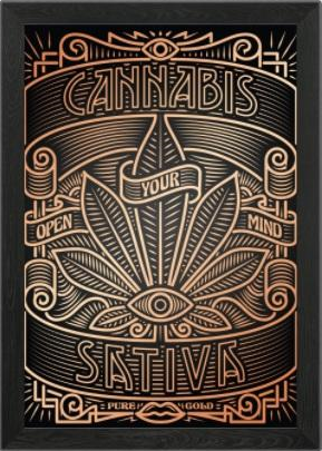 Open Your Mind Sativa