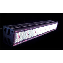 Load image into Gallery viewer, FOHSE PLEIADES 320W 100-277V
