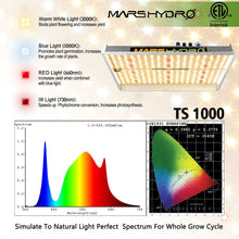 Load image into Gallery viewer, Mars Hydro TS 1000W Led Grow Light+70x70x160cm Indoor Tent Full Kits Carbon Filter Fan
