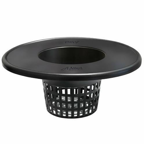 Alfred Lid 12