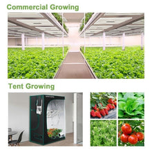 Load image into Gallery viewer, MARS HYDRO FC 4800 SAMSUNG LM301B OSRAM COMMERCIAL LED GROW LIGHT
