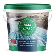 Load image into Gallery viewer, Gaia Green Glacial Rock Dust
