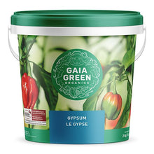 Load image into Gallery viewer, Gaia Green Gypsum
