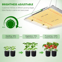 Load image into Gallery viewer, MARS HYDRO TSW 2000 LED GROW LIGHT FOR INDOOR PLANTS FULL SPECTRUM 300W 3FTX3FT  COVERAGE
