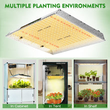 Load image into Gallery viewer, MARS HYDRO TSW 2000 LED GROW LIGHT FOR INDOOR PLANTS FULL SPECTRUM 300W 3FTX3FT  COVERAGE
