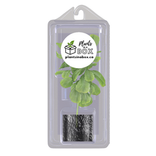 Load image into Gallery viewer, LEDs Lighting for Plant Shippers
