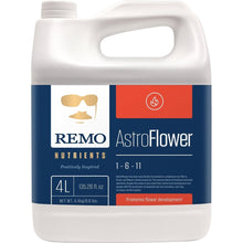 Load image into Gallery viewer, Remo Astro Flower
