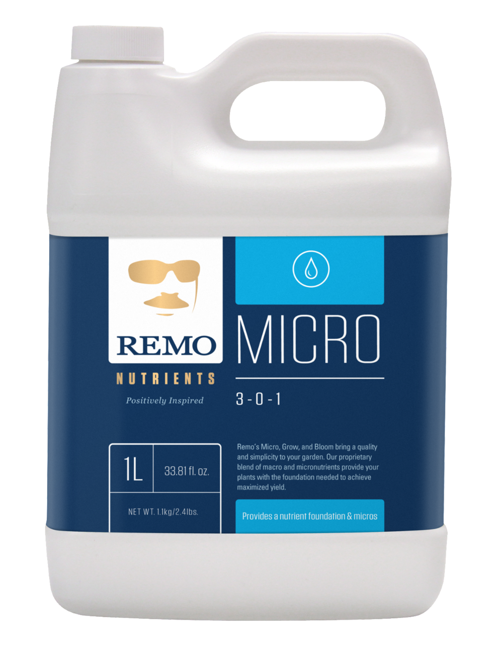 REMO'S MICRO