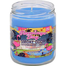 Load image into Gallery viewer, Smoke Odor 13oz Candle
