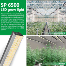 Load image into Gallery viewer, SP 6500 650W COVER 3X5 (100X150CM) SAMSUNG LM301B OSRAM FULL SPECTRUM LED PLANT GROW LIGHT - MARS HYDRO
