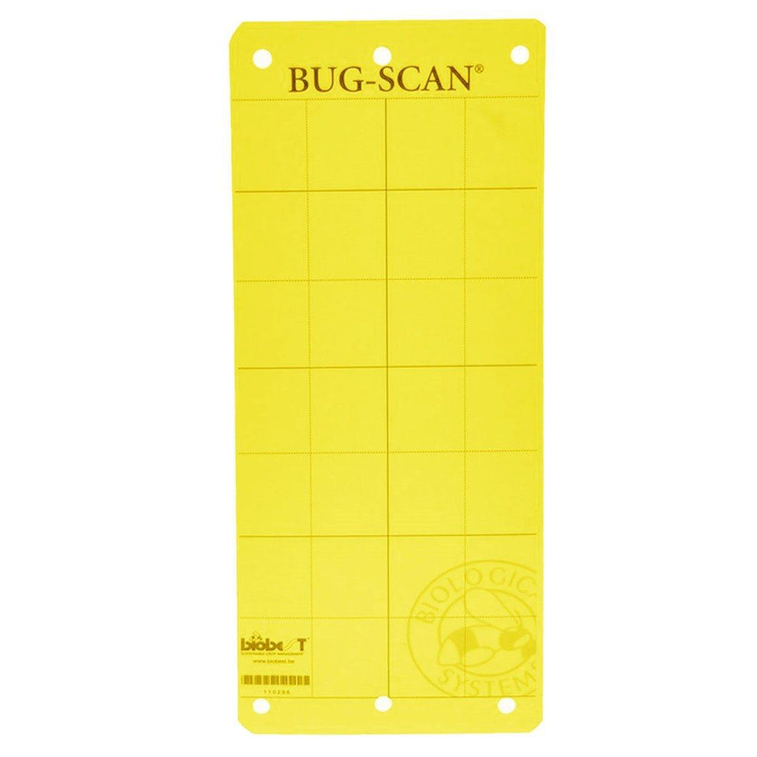 Sticky Trap Bug-Scan Yellow for Aphid / Whitefly - GrowDudes