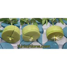 Load image into Gallery viewer, TurboKlone E96D Elite 96 Sites W / Humidity Dome - GrowDudes
